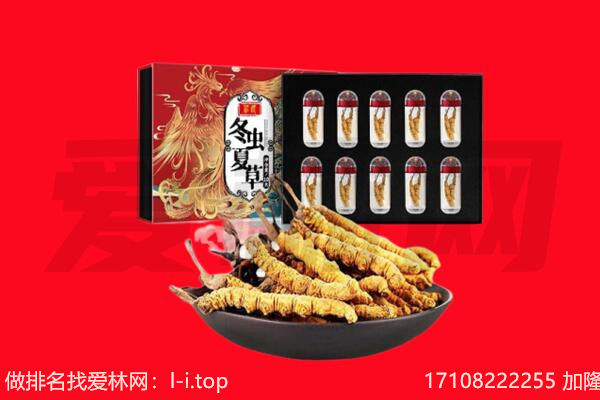 蓝山县回收虫草.jpg